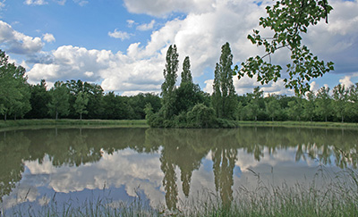 L'étang des Courbauderies