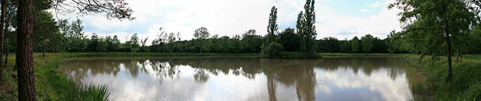 L'étang des Courbauderies