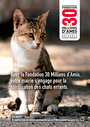 Campagne de stérilisation des chats - Chaon