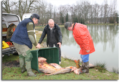 Rempoissonnement 2013